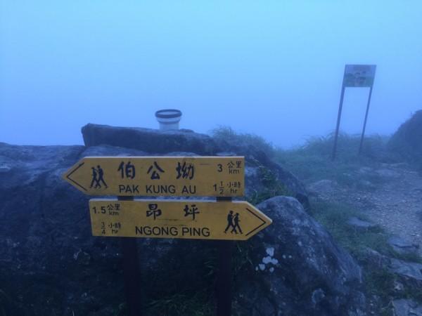 归家异途